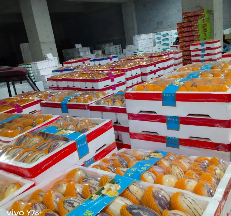 民勤沙漠特产人参果供应电商市场超市