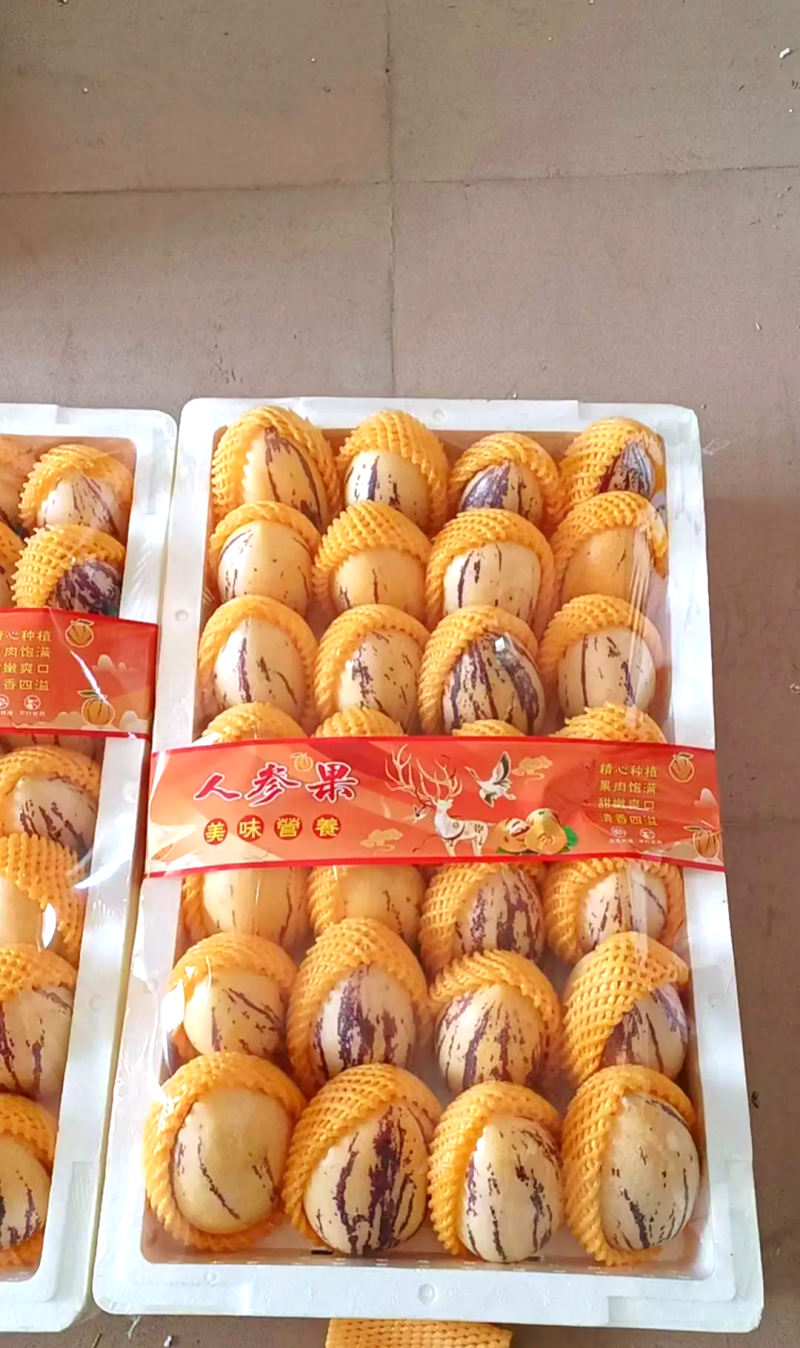 民勤沙漠特产人参果供应电商市场超市