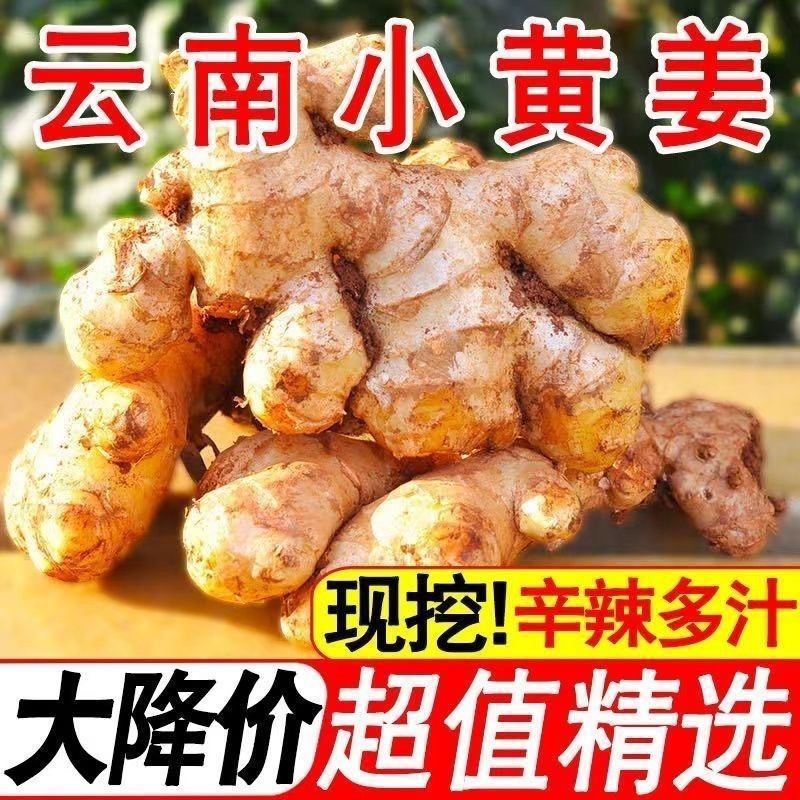 云南小黄姜，承接各大电商平台，社区团购一件代发