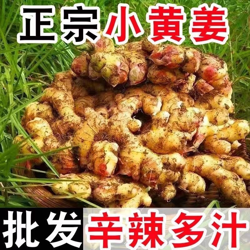 云南小黄姜，承接各大电商平台，社区团购一件代发