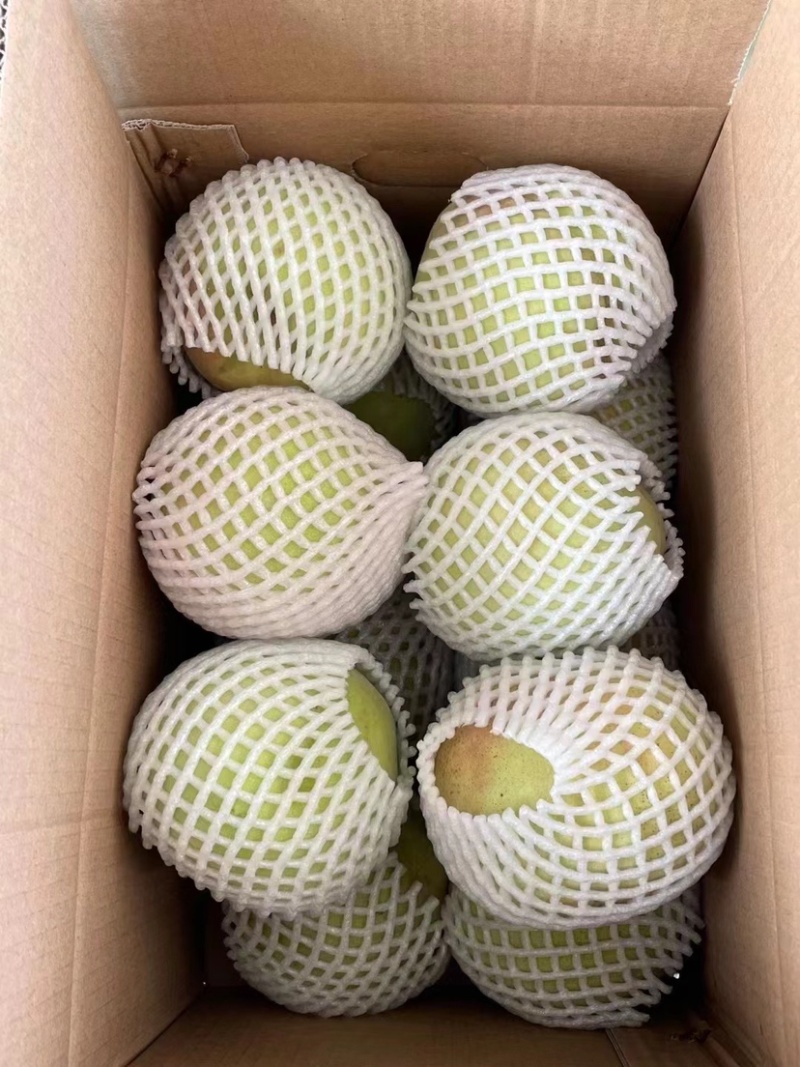 晚熟大青桃，口感甜脆，桃中的劳斯莱斯