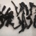 海带结干海带结烘干海带结一手货源产地直接发货
