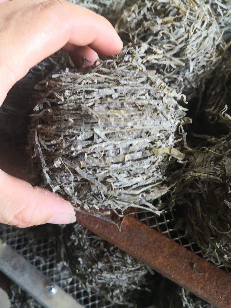 干海带海带丝烘干海带丝水洗烘干海带丝海带片一棵菜