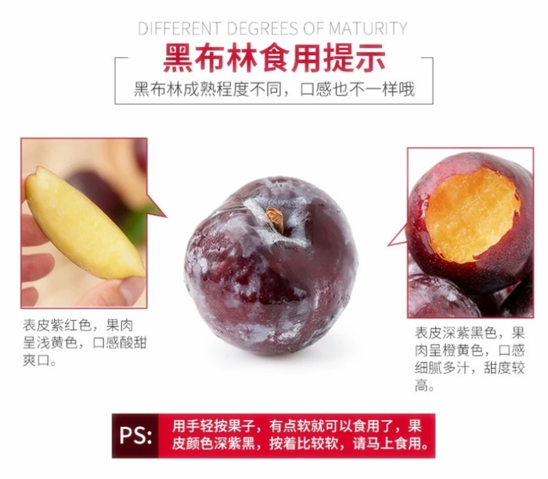 黑布林新鲜水果现摘黑李子黄肉黑巨李黑宝石孕妇整箱脱骨包邮