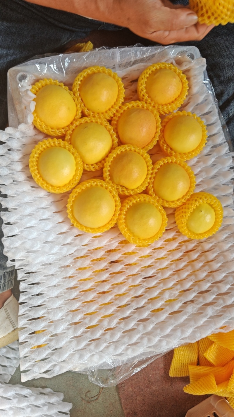 油八有货