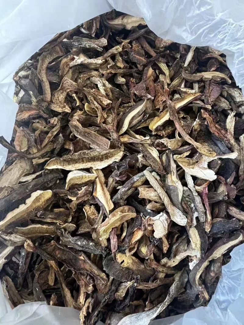 见手青干货