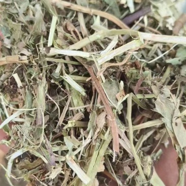 花生秧\饲料原料\河南驻马店正阳线附近对接采购商