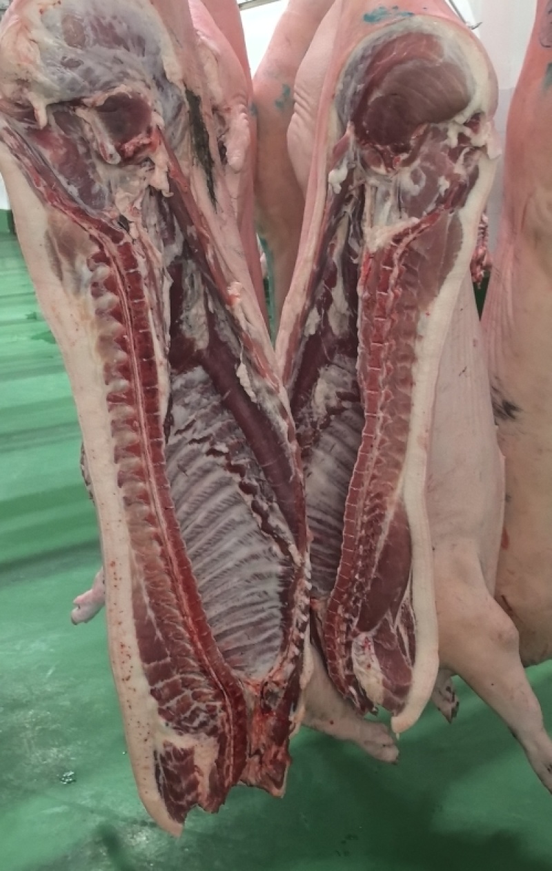 黑毛土猪肉300天慢养黑猪，可视频看货欢迎联系