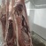 黑毛土猪肉300天慢养黑猪，可视频看货欢迎联系