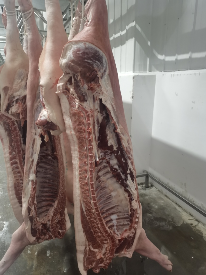 黑毛土猪肉300天慢养黑猪，可视频看货欢迎联系