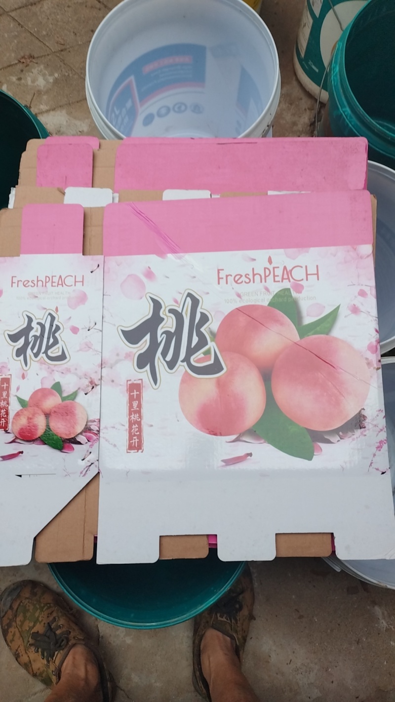 晚秋水蜜桃