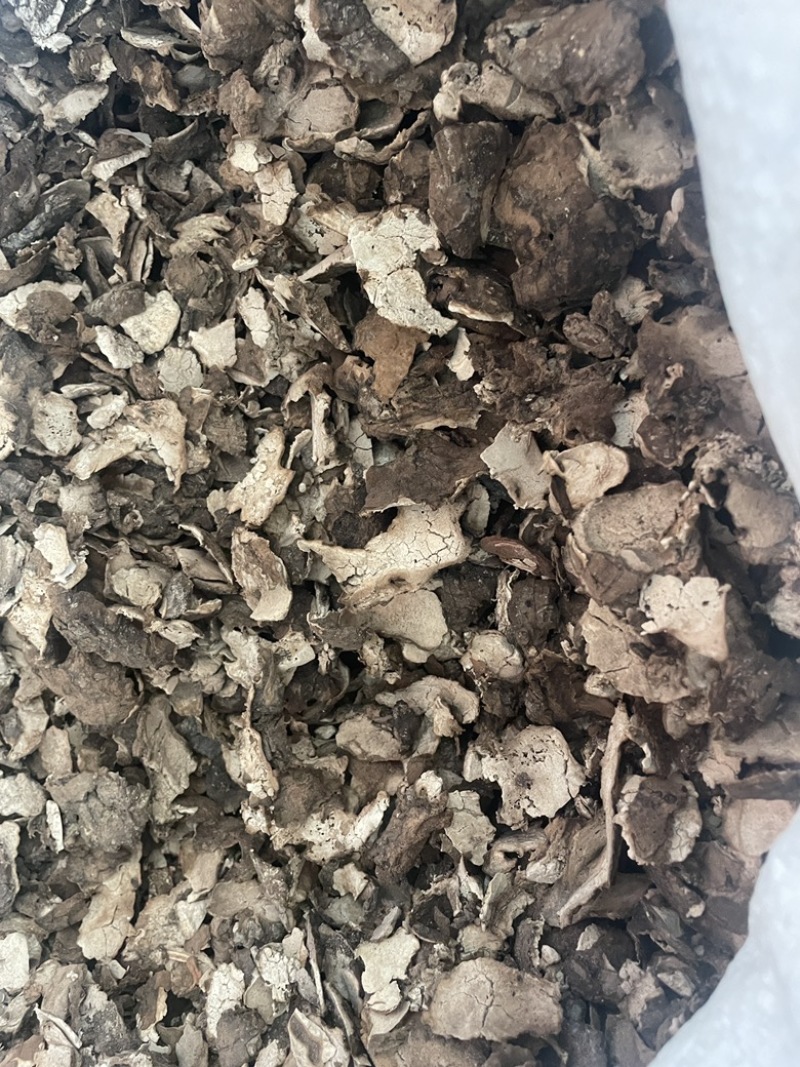 云南茯苓大货批发水洗茯苓皮三皮茯苓二皮茯苓茯苓一皮茯苓皮