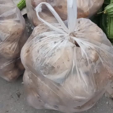 岚县土豆大量有货批发