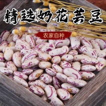 小麦黄豆芸豆