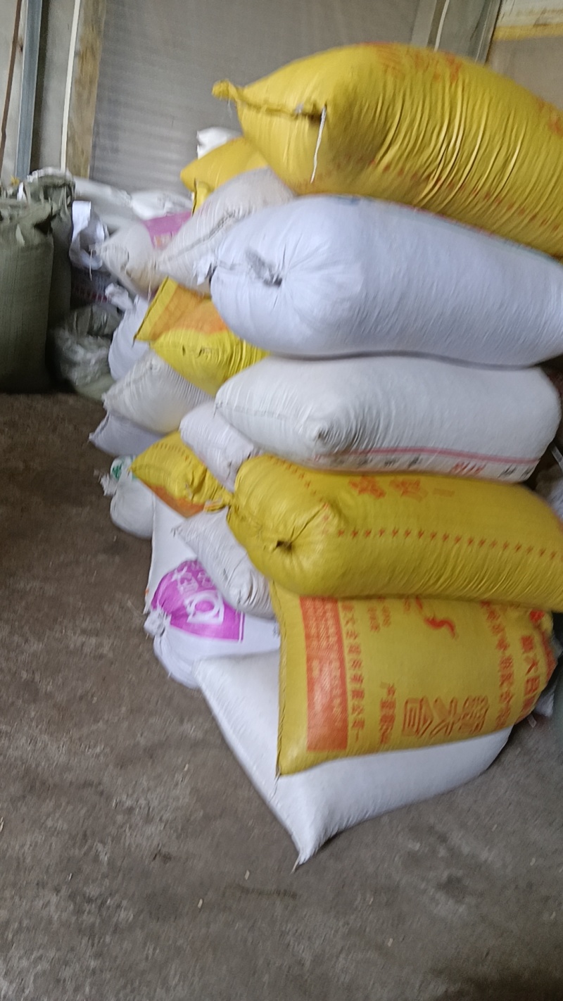 补骨脂大量批发都是干净货包邮一直下单就可以的