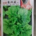 鼎牌东汉菜冬寒菜种子，耐寒性好，生长快，糯嫩顺滑清香味美