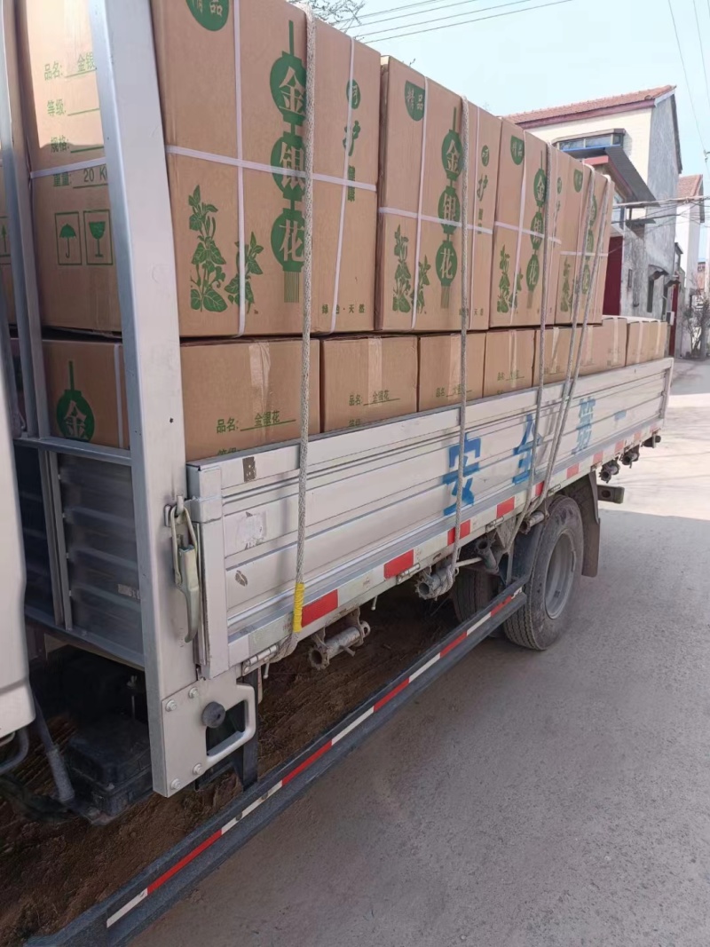 韭菜籽养生花茶中药材批发地道药材诚信经营