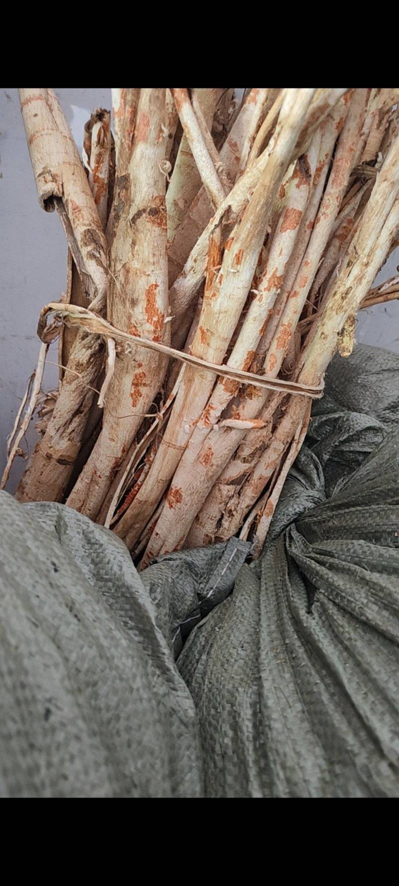桑白皮中药材野生桑白皮‘刮皮无心老树根皮