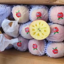 【冰糖心苹果】正宗新疆阿克苏冰糖心苹果糖分足甜度高接电商