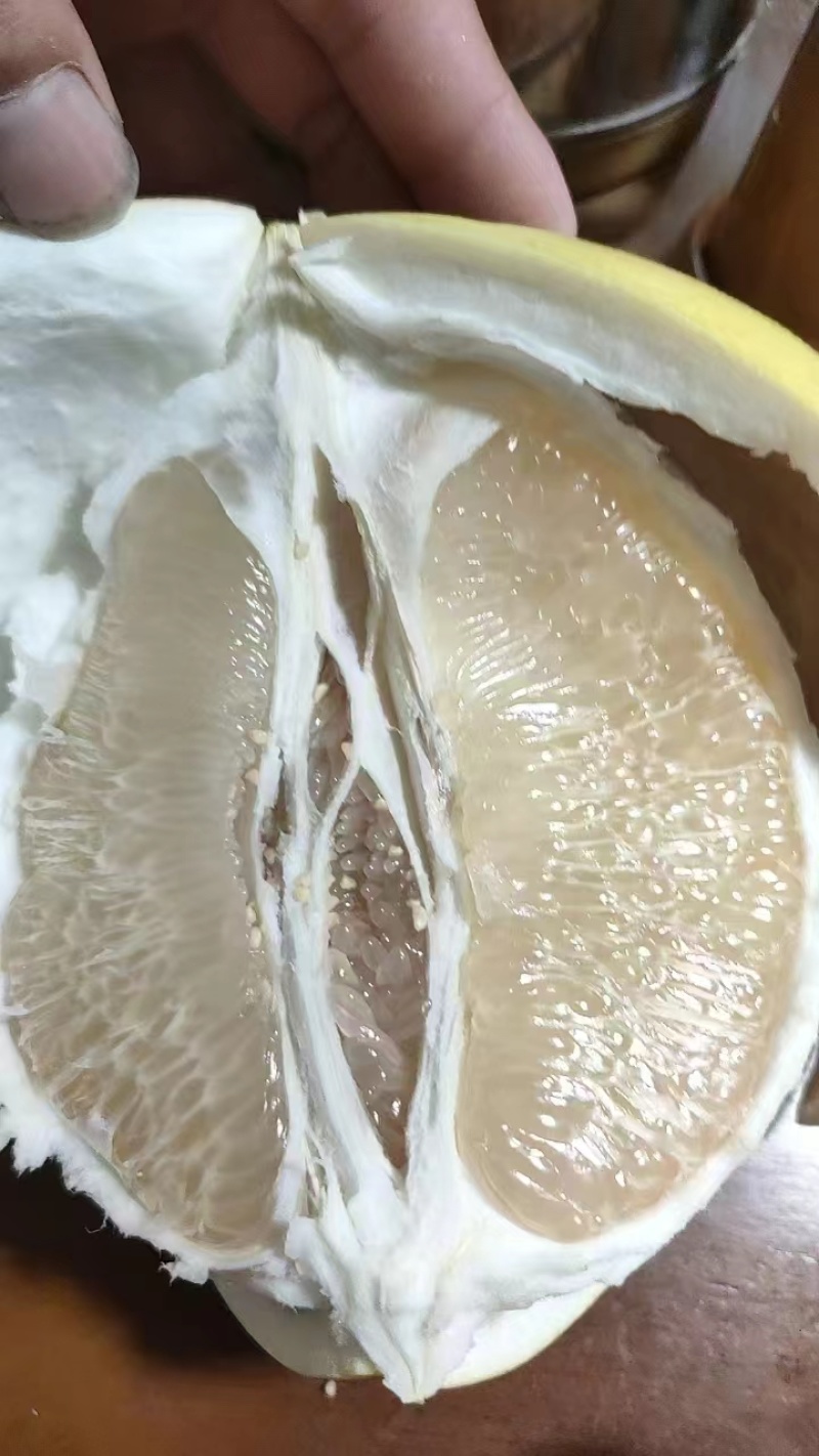 福建白柚，1.8-4斤，皮薄肉厚，甜度高，欢迎对接