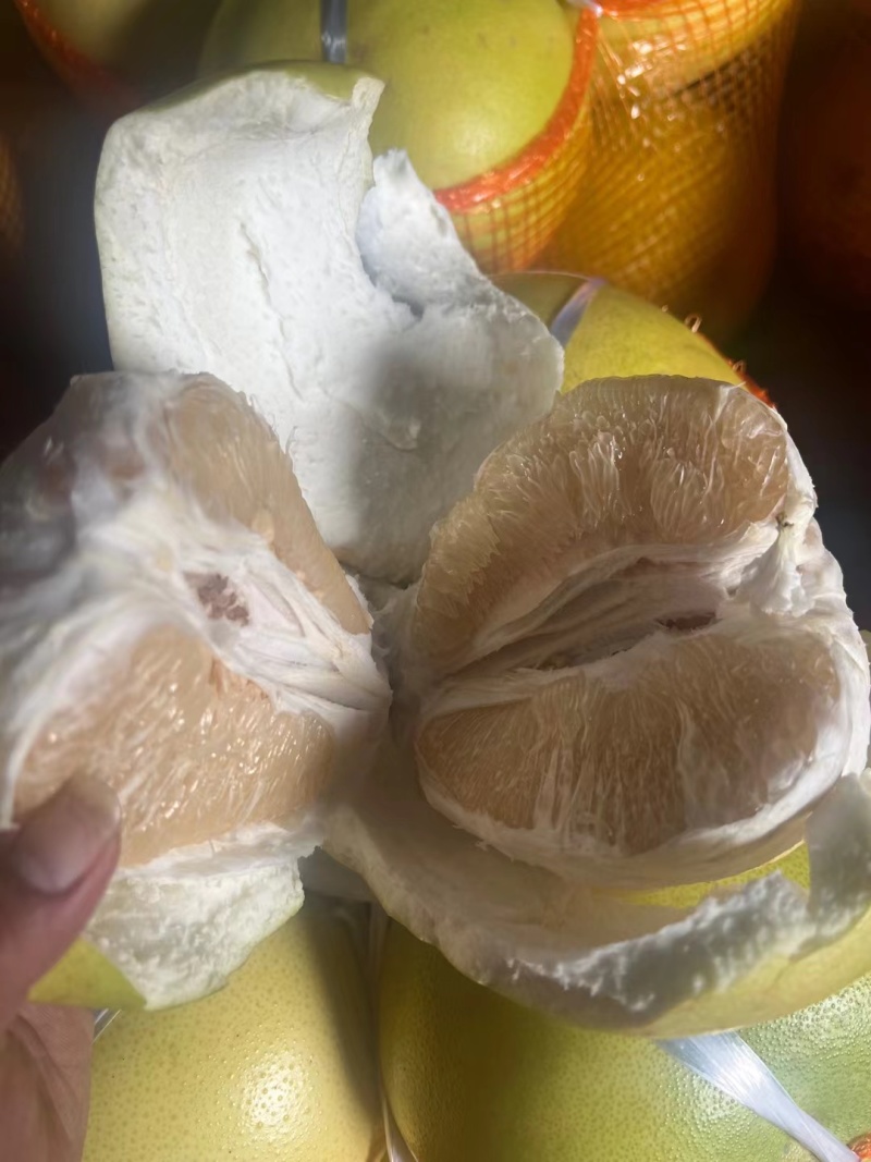 福建白柚，1.8-4斤，皮薄肉厚，甜度高，欢迎对接