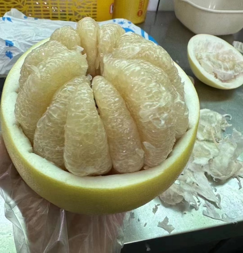福建白柚，1.8-4斤，皮薄肉厚，甜度高，欢迎对接