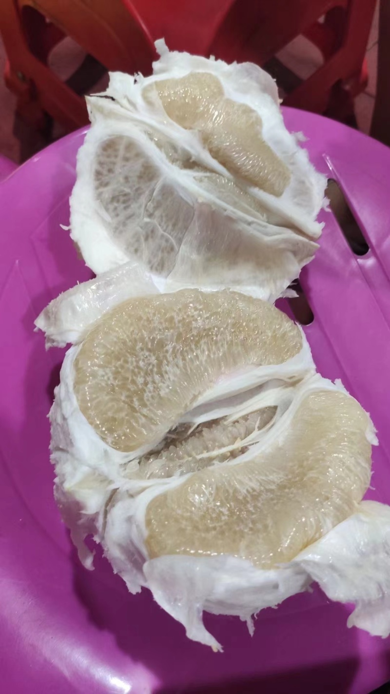 福建白柚，1.8-4斤，皮薄肉厚，甜度高，欢迎对接