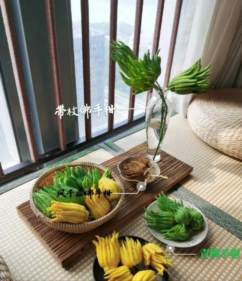 云南佛手柑一件代发，青果-观赏-食用