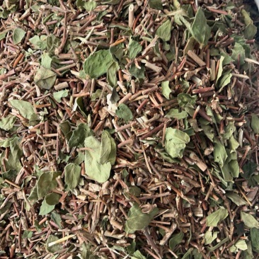 忍冬藤金银花藤银花藤支持线上交易量大从优