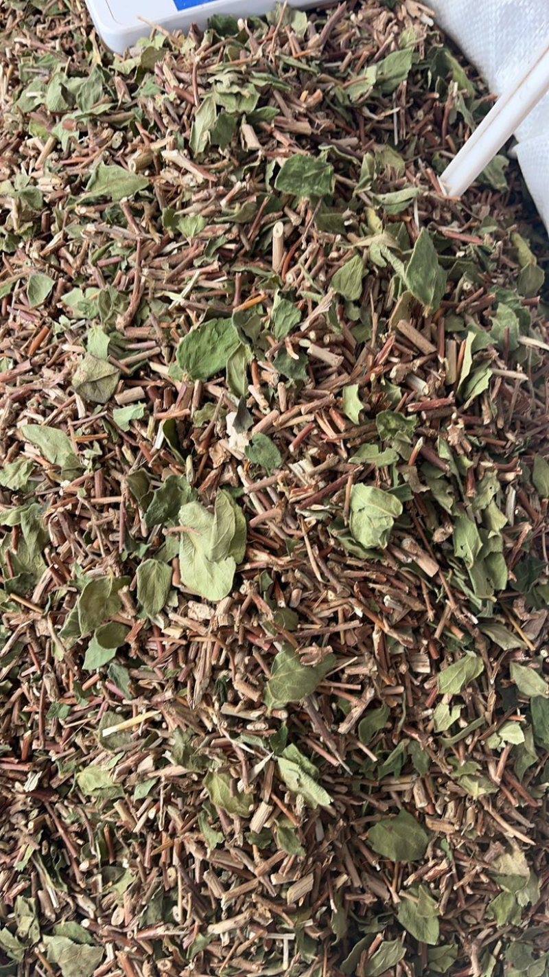 忍冬藤金银花藤银花藤支持线上交易量大从优
