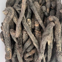 精品肉苁蓉，产地直销大量有货，欢迎来电咨询