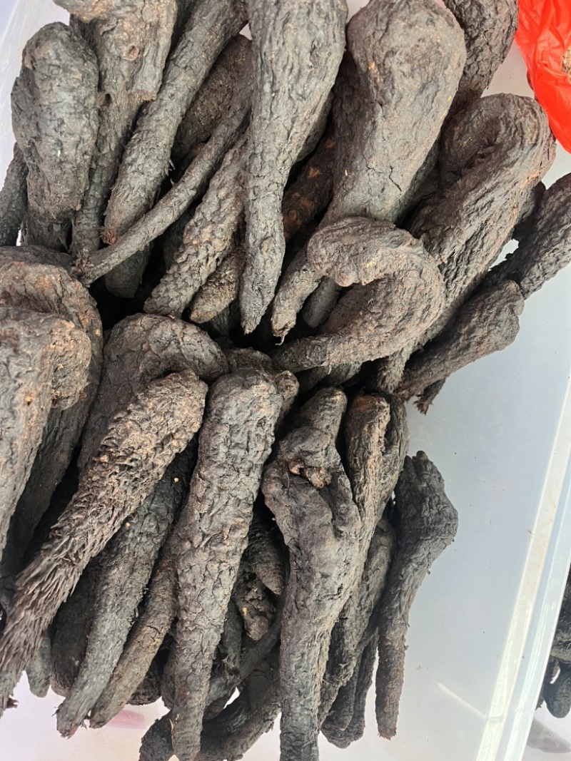 精品肉苁蓉，产地直销大量有货，欢迎来电咨询