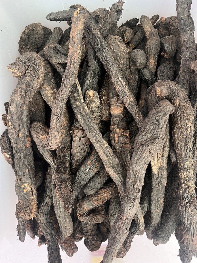 精品肉苁蓉，产地直销大量有货，欢迎来电咨询