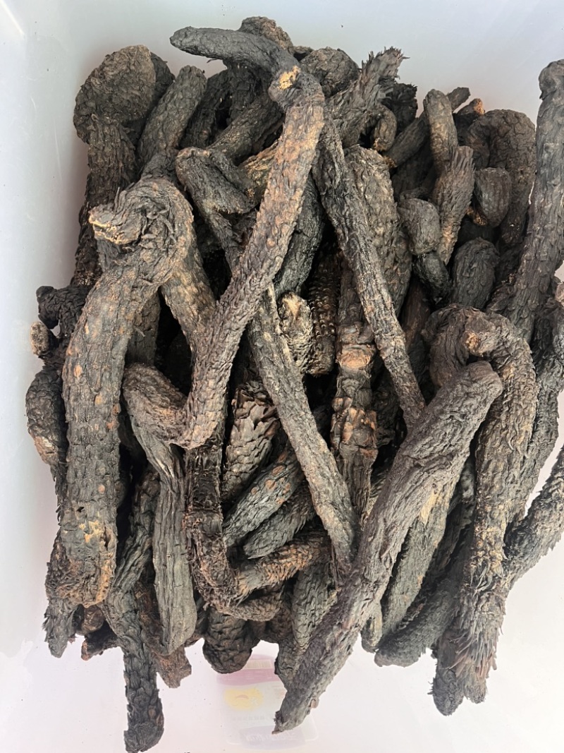 精品肉苁蓉，产地直销大量有货，欢迎来电咨询