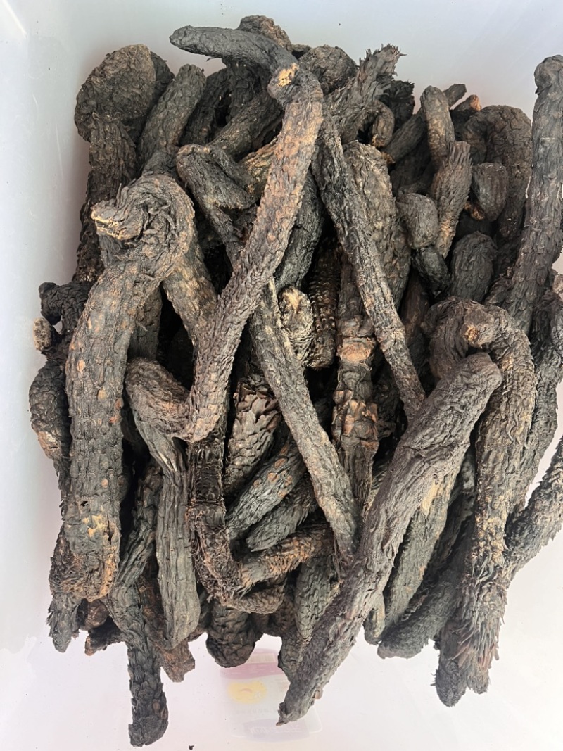 精品肉苁蓉，产地直销大量有货，欢迎来电咨询