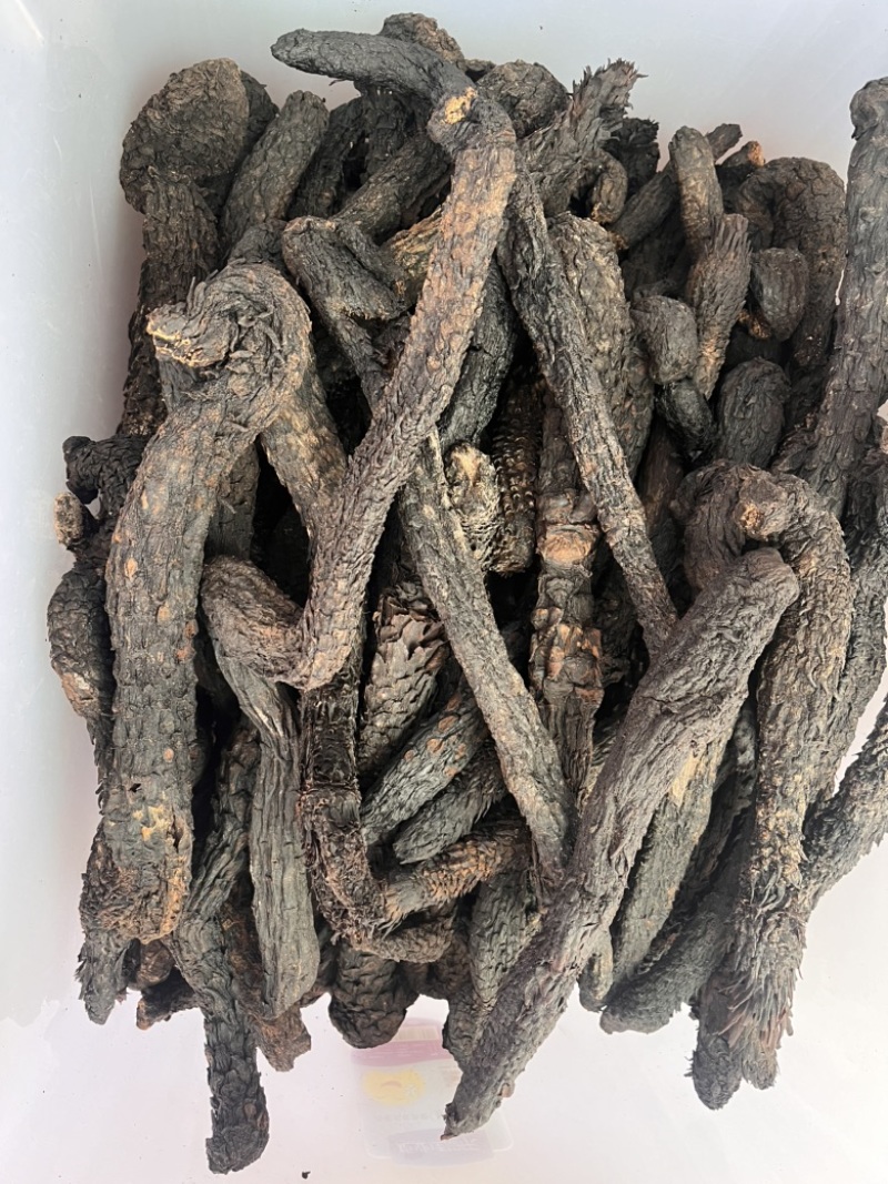 精品肉苁蓉，产地直销大量有货，欢迎来电咨询
