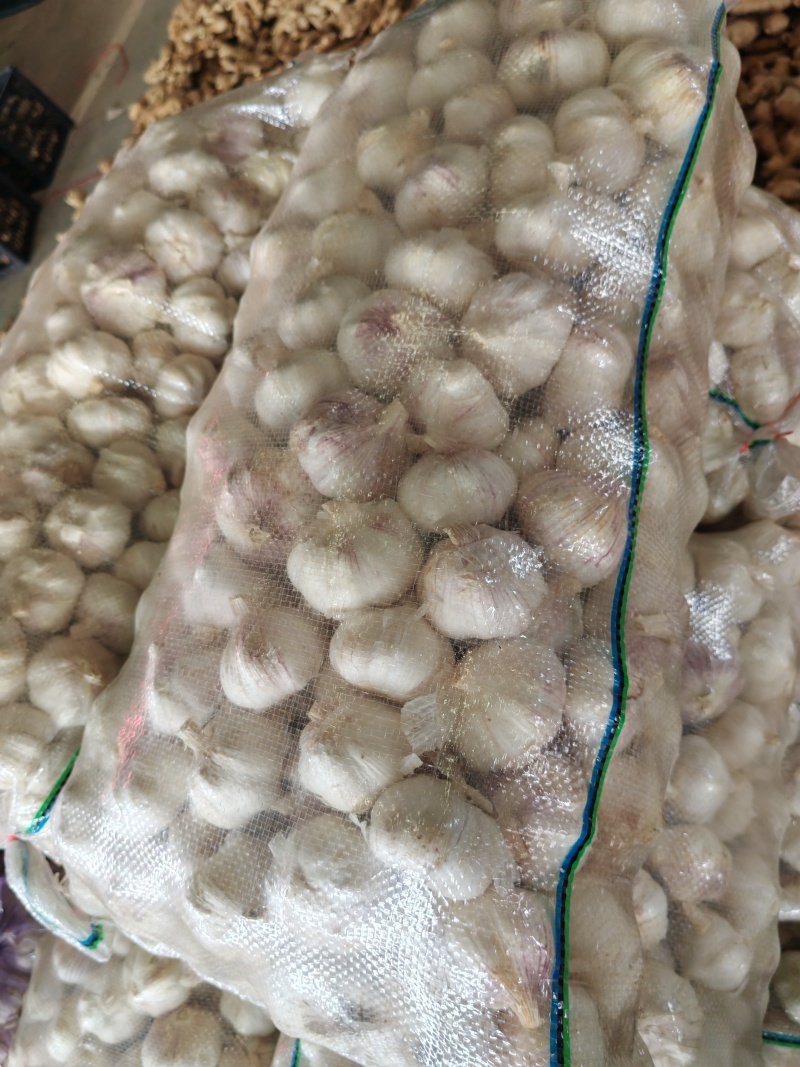 永年大蒜，40到60，个个匀，颜色纯正，供各大市场，团购