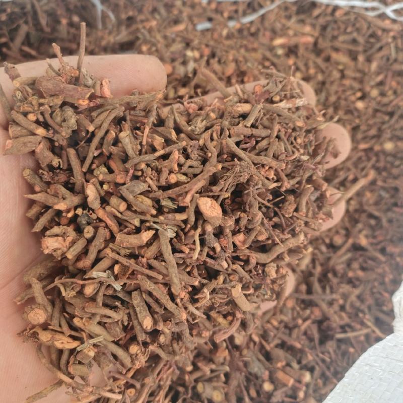 茜草