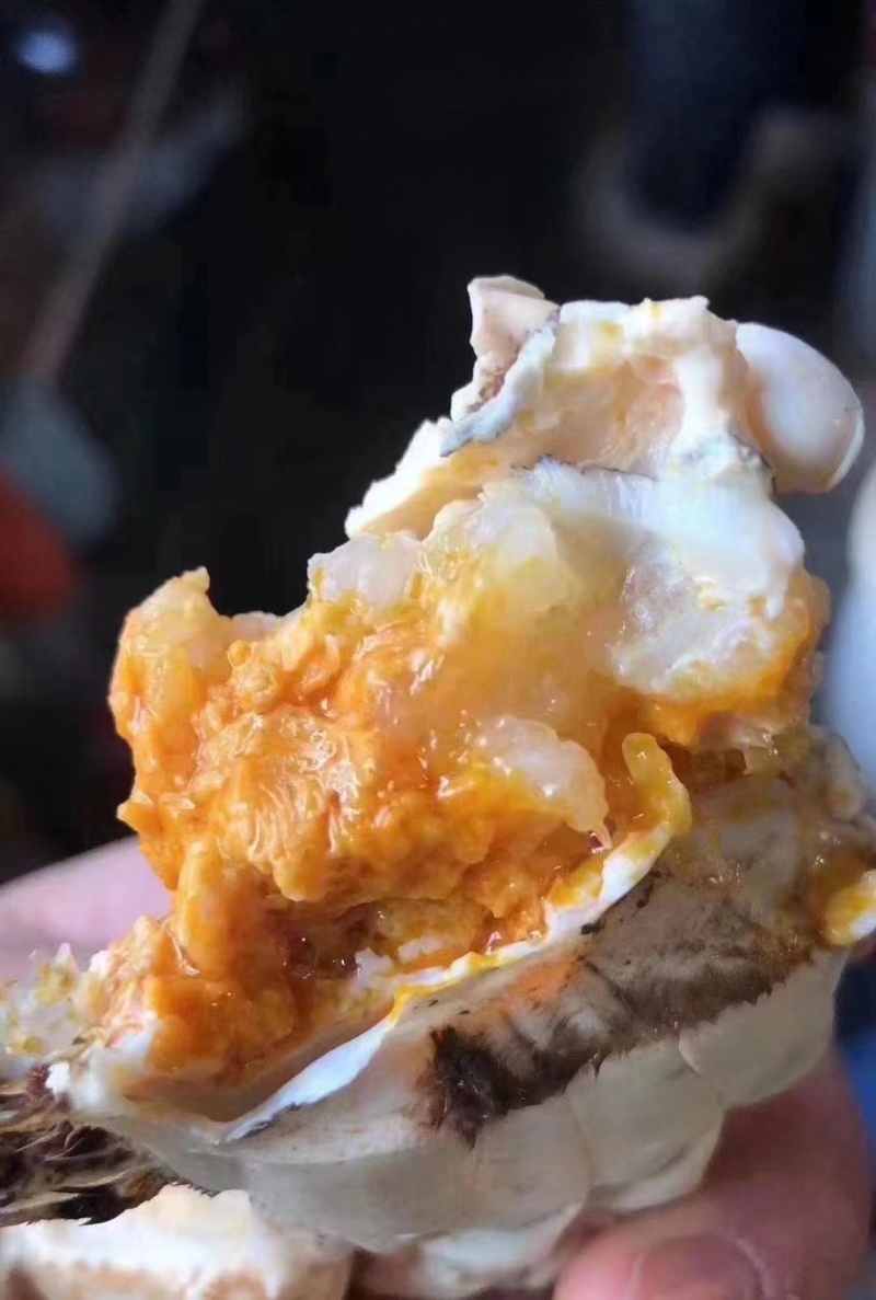 盘锦河蟹，稻田蟹，老头蟹，货源充足，产地直发，视频看货