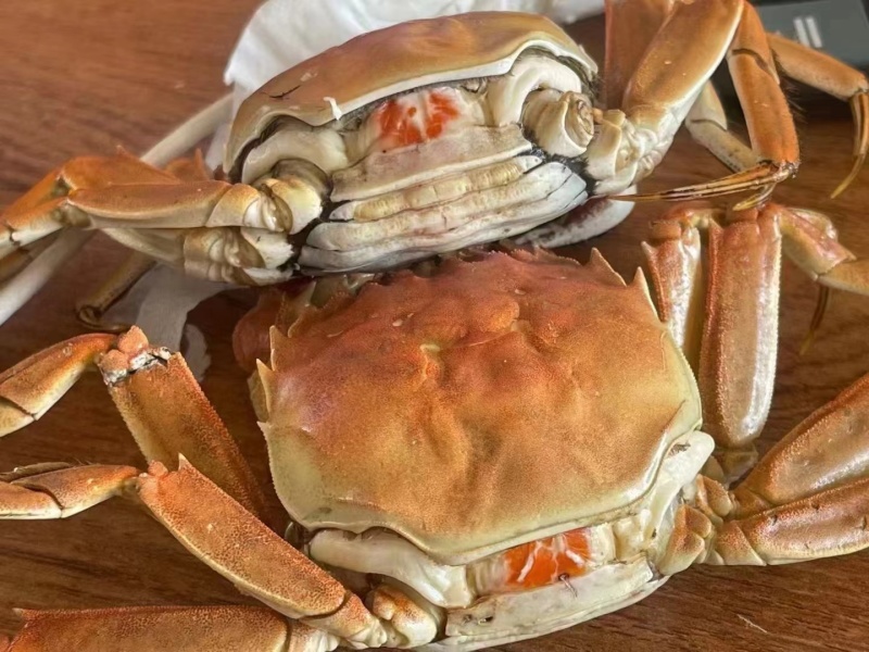 盘锦河蟹，稻田蟹，老头蟹，货源充足，产地直发，视频看货