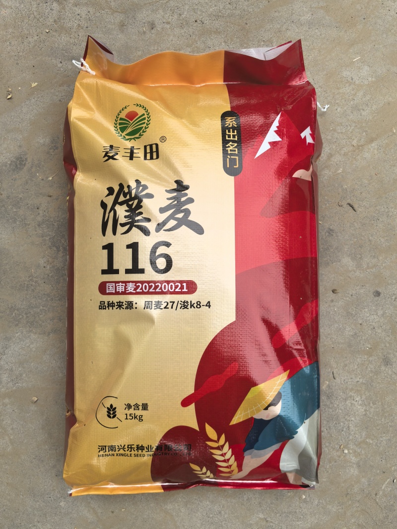 河南小麦种子批发零售，大量现货！随时欢迎咨询！