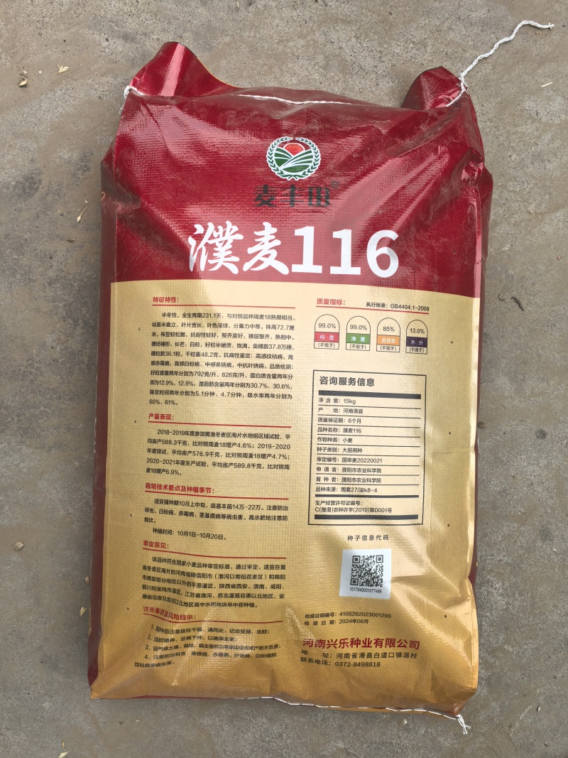 河南小麦种子批发零售，大量现货！随时欢迎咨询！