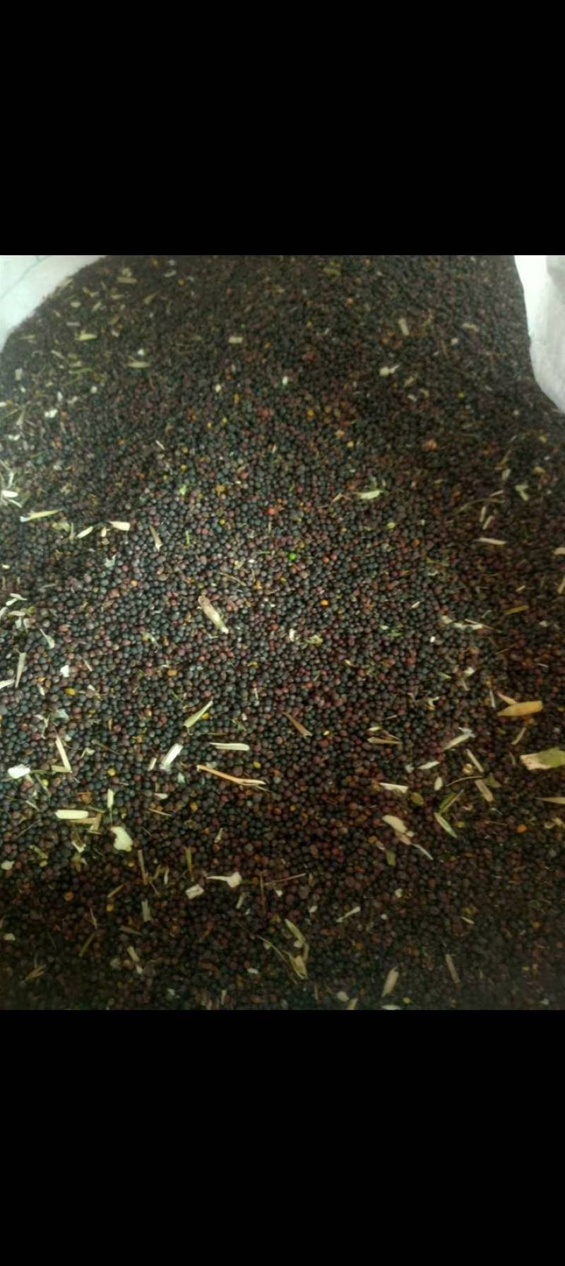 新鲜油菜籽无添加健康美味特惠速来选购