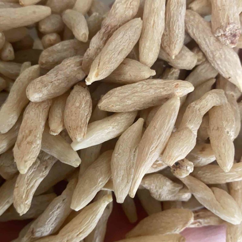 自产自销保质保量营养丰富麦冬