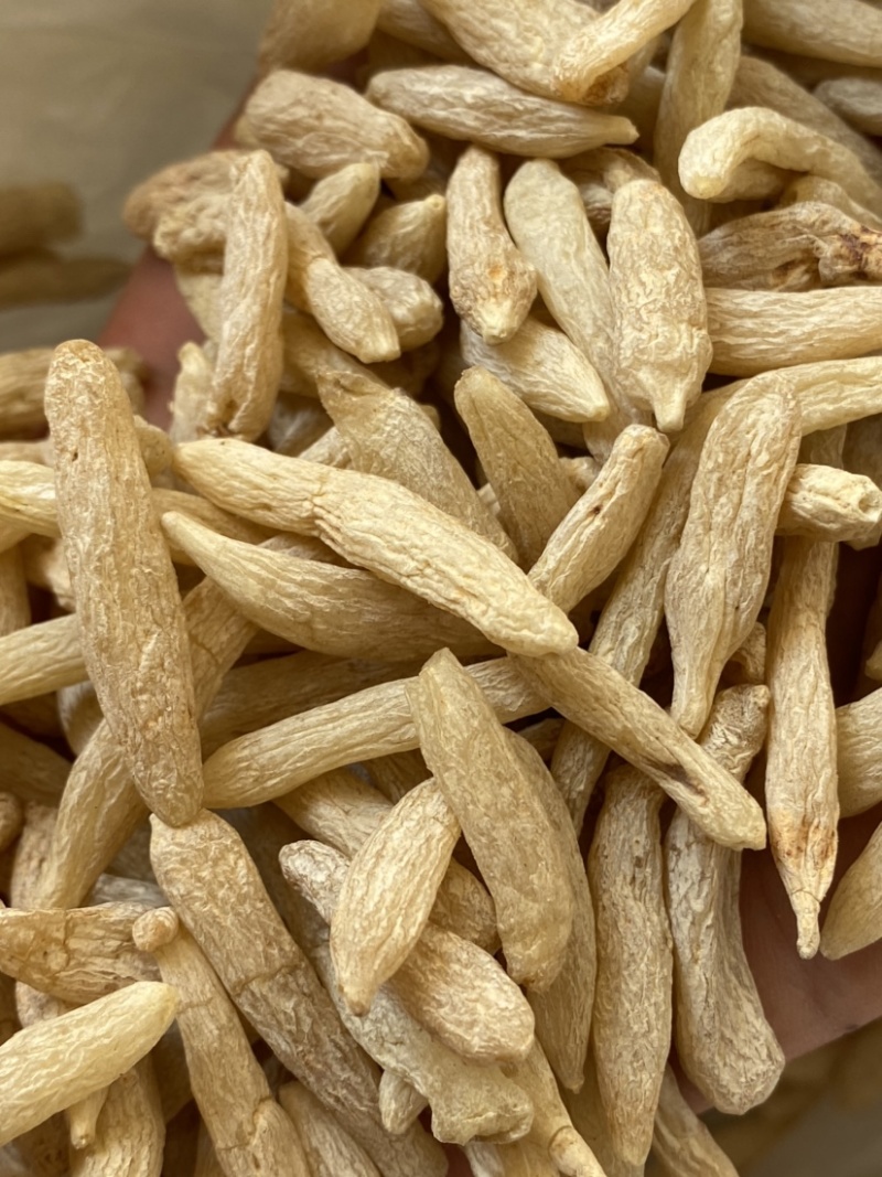 自产自销保质保量营养丰富麦冬