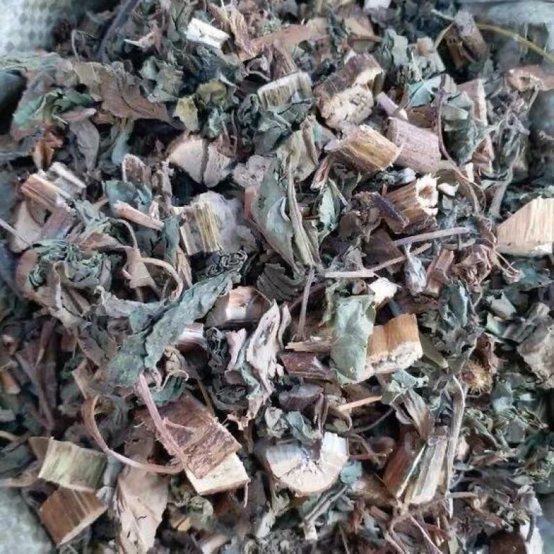 中药材苍耳草
