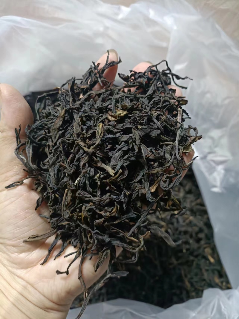 凤凰单丛蜜兰香高山茶单丛茶春密兰香大乌叶鸭屎香