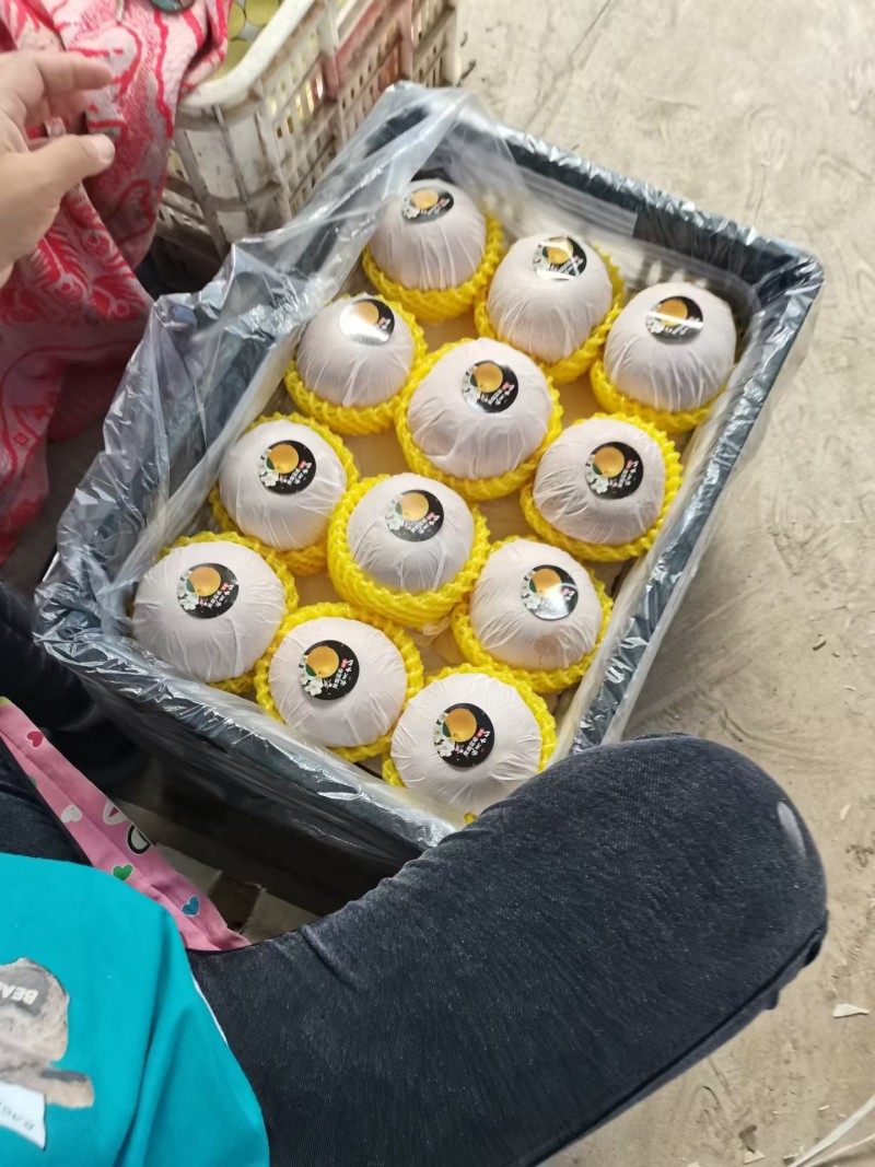 青岛莱西秋月梨华山梨风水梨等品种，口感好皮薄汁浓糖度高