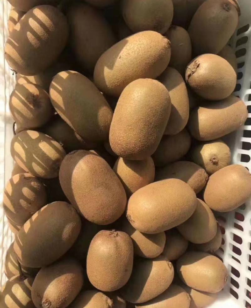 绿心猕猴桃