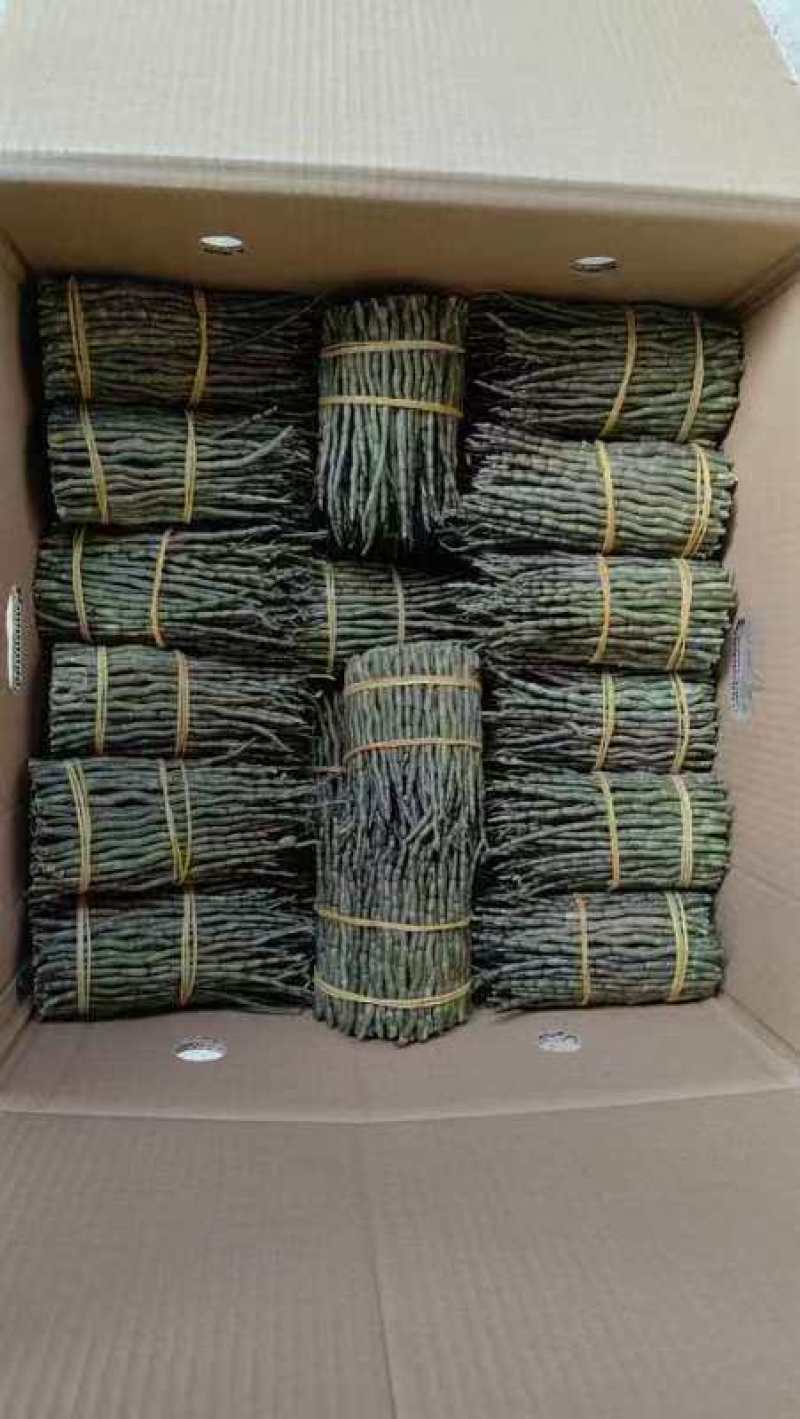 铁皮石斛小胖条！一地直发！一手货源！质量保证！全国发货！